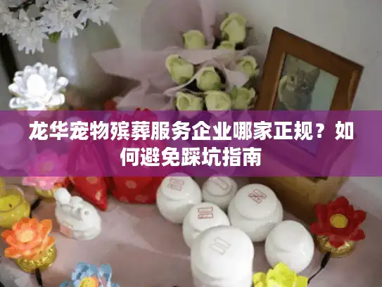 龙华宠物殡葬服务企业哪家正规？如何避免踩坑指南