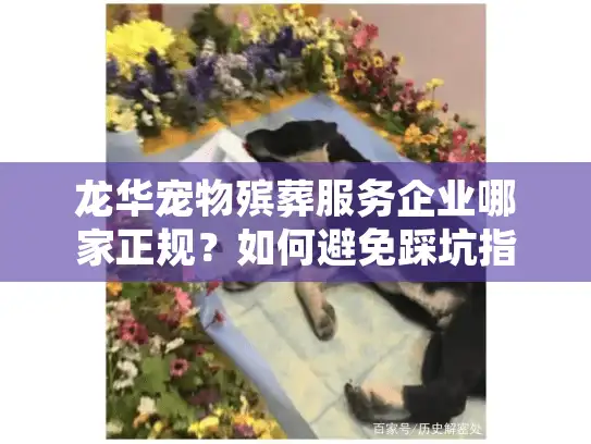 龙华宠物殡葬服务企业哪家正规？如何避免踩坑指南