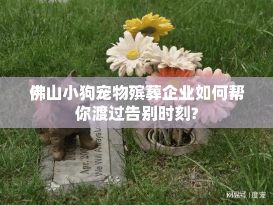 佛山小狗宠物殡葬企业如何帮你渡过告别时刻?