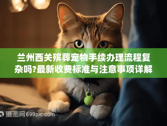 兰州西关殡葬宠物手续办理流程复杂吗?最新收费标准与注意事项详解