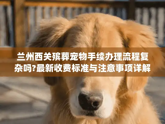 兰州西关殡葬宠物手续办理流程复杂吗?最新收费标准与注意事项详解