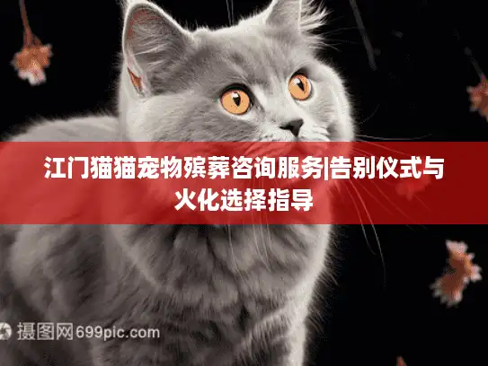 江门猫猫宠物殡葬咨询服务|告别仪式与火化选择指导