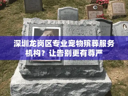 深圳龙岗区专业宠物殡葬服务机构？让告别更有尊严