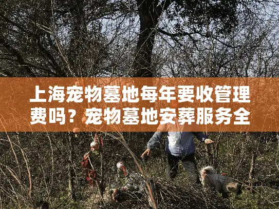 上海宠物墓地每年要收管理费吗？宠物墓地安葬服务全面解析