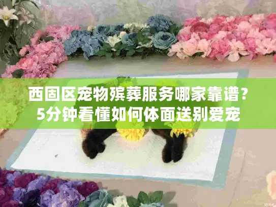 西固区宠物殡葬服务哪家靠谱？5分钟看懂如何体面送别爱宠