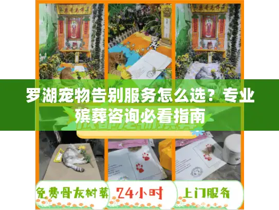 罗湖宠物告别服务怎么选？专业殡葬咨询必看指南