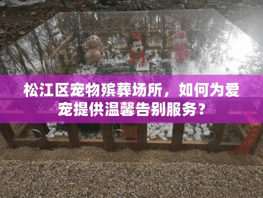 松江区宠物殡葬场所，如何为爱宠提供温馨告别服务？