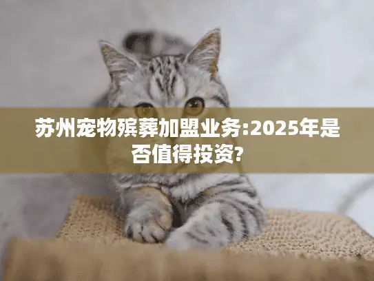 苏州宠物殡葬加盟业务:2025年是否值得投资?