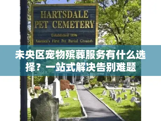未央区宠物殡葬服务有什么选择？一站式解决告别难题