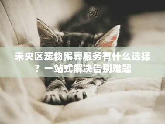 未央区宠物殡葬服务有什么选择？一站式解决告别难题