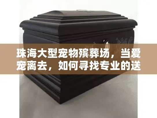 珠海大型宠物殡葬场，当爱宠离去，如何寻找专业的送别服务？