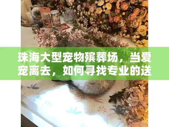 珠海大型宠物殡葬场，当爱宠离去，如何寻找专业的送别服务？