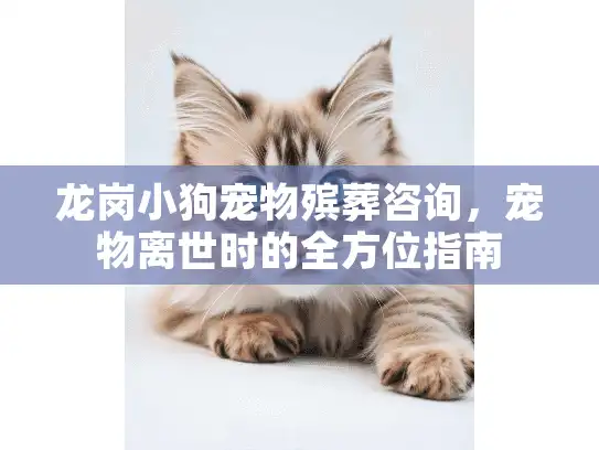 龙岗小狗宠物殡葬咨询，宠物离世时的全方位指南
