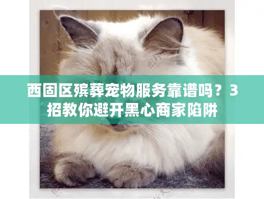 西固区殡葬宠物服务靠谱吗？3招教你避开黑心商家陷阱