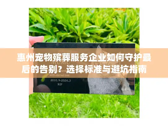 惠州宠物殡葬服务企业如何守护最后的告别？选择标准与避坑指南