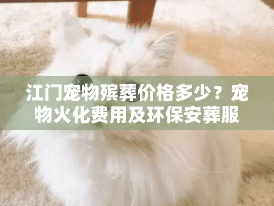 江门宠物殡葬价格多少？宠物火化费用及环保安葬服务详析
