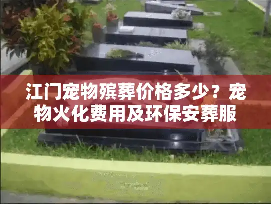 江门宠物殡葬价格多少？宠物火化费用及环保安葬服务详析