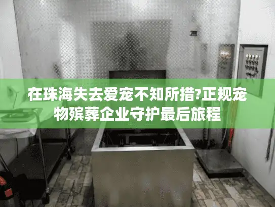 在珠海失去爱宠不知所措?正规宠物殡葬企业守护最后旅程