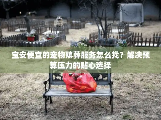 宝安便宜的宠物殡葬服务怎么找？解决预算压力的贴心选择