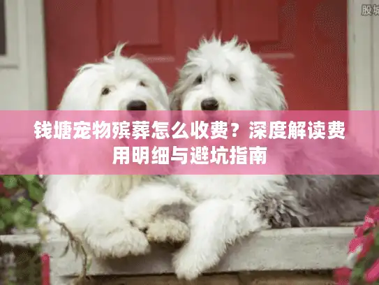 钱塘宠物殡葬怎么收费？深度解读费用明细与避坑指南