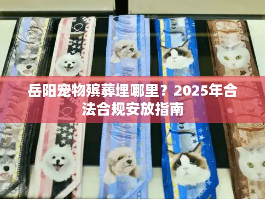 岳阳宠物殡葬埋哪里？2025年合法合规安放指南