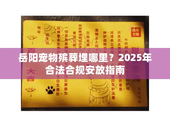 岳阳宠物殡葬埋哪里？2025年合法合规安放指南