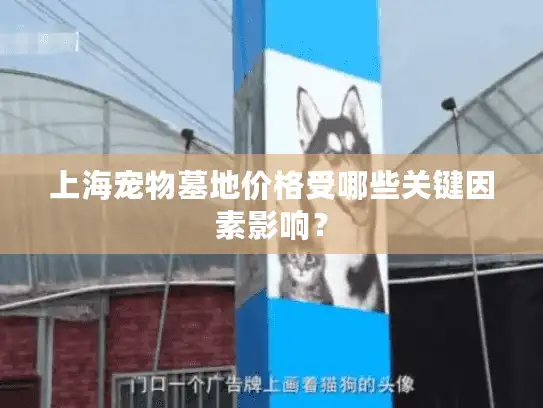 上海宠物墓地价格受哪些关键因素影响？