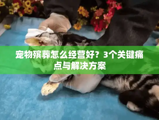 宠物殡葬怎么经营好？3个关键痛点与解决方案