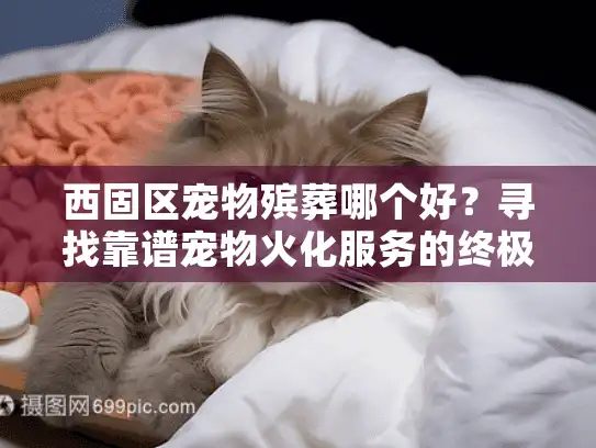 西固区宠物殡葬哪个好？寻找靠谱宠物火化服务的终极指南