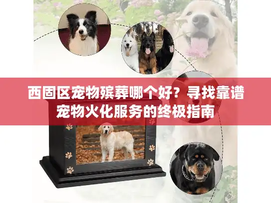 西固区宠物殡葬哪个好？寻找靠谱宠物火化服务的终极指南