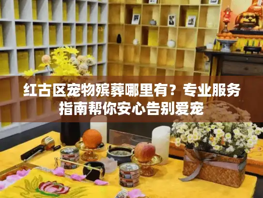 红古区宠物殡葬哪里有？专业服务指南帮你安心告别爱宠