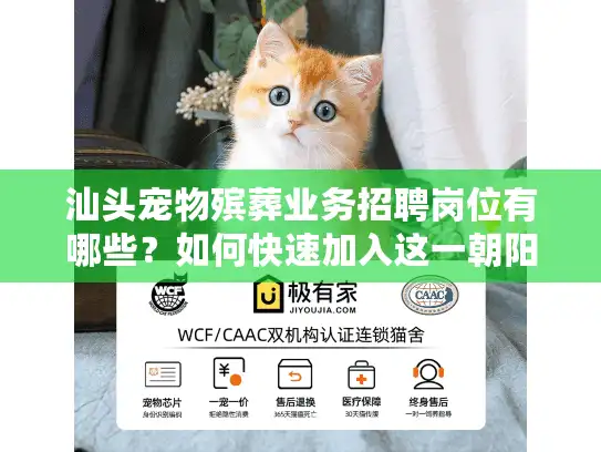 汕头宠物殡葬业务招聘岗位有哪些？如何快速加入这一朝阳行业？