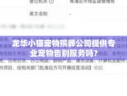 龙华小猫宠物殡葬公司提供专业宠物告别服务吗？