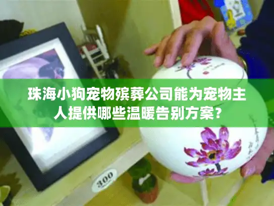 珠海小狗宠物殡葬公司能为宠物主人提供哪些温暖告别方案？