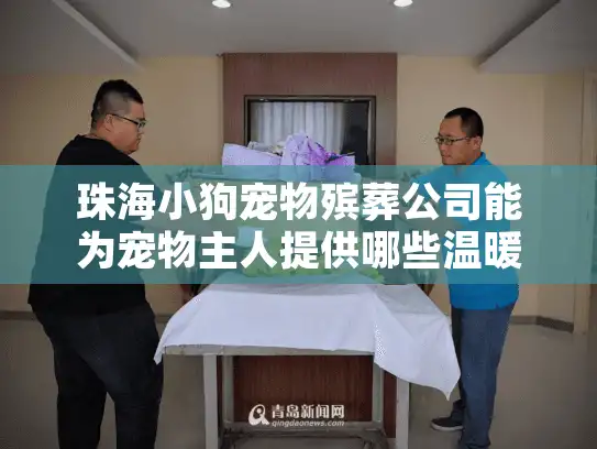 珠海小狗宠物殡葬公司能为宠物主人提供哪些温暖告别方案？