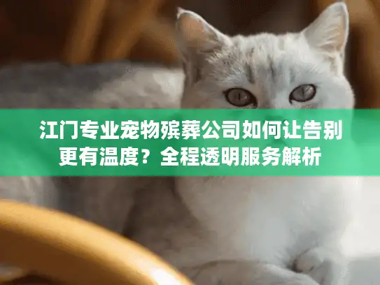 江门专业宠物殡葬公司如何让告别更有温度？全程透明服务解析