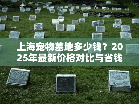 上海宠物墓地多少钱？2025年最新价格对比与省钱技巧