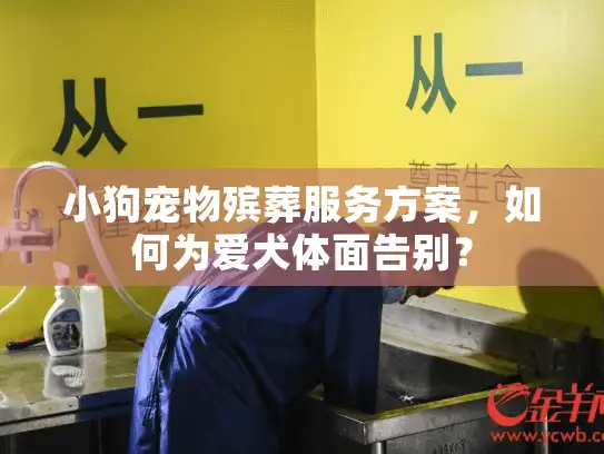 小狗宠物殡葬服务方案，如何为爱犬体面告别？