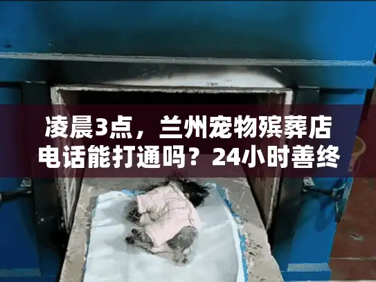 凌晨3点，兰州宠物殡葬店电话能打通吗？24小时善终服务指南
