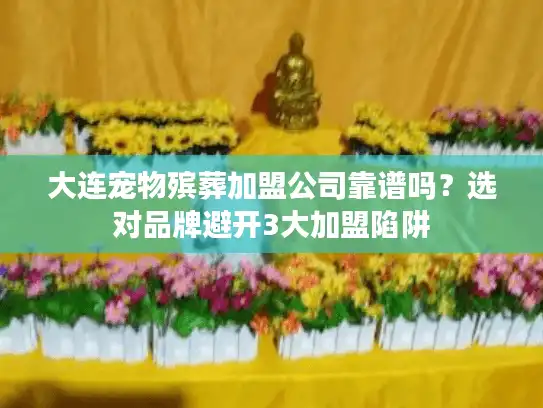大连宠物殡葬加盟公司靠谱吗？选对品牌避开3大加盟陷阱