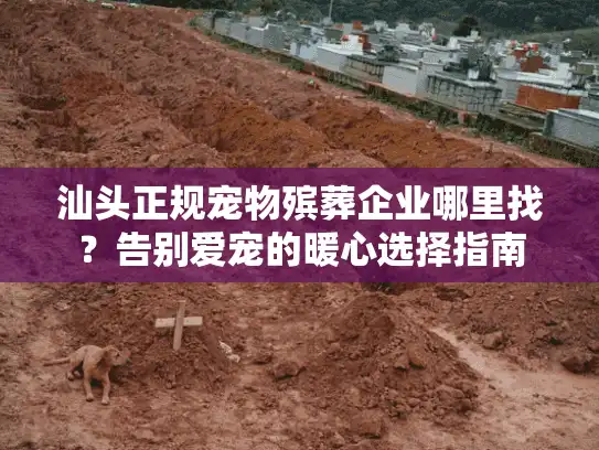 汕头正规宠物殡葬企业哪里找？告别爱宠的暖心选择指南