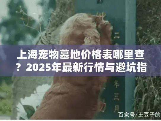上海宠物墓地价格表哪里查？2025年最新行情与避坑指南汇总