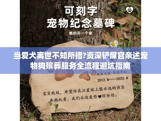 当爱犬离世不知所措?资深铲屎官亲述宠物狗殡葬服务全流程避坑指南