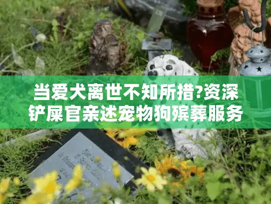 当爱犬离世不知所措?资深铲屎官亲述宠物狗殡葬服务全流程避坑指南
