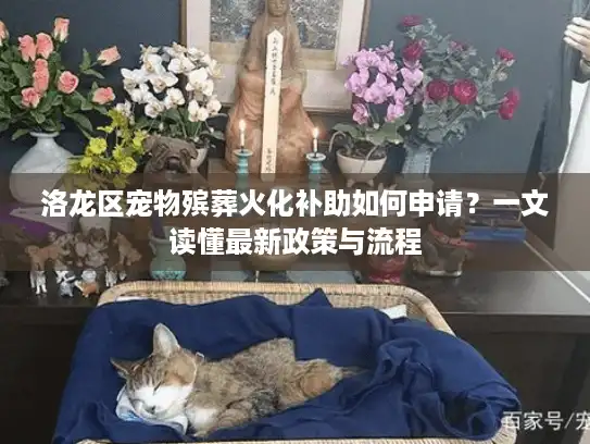 洛龙区宠物殡葬火化补助如何申请？一文读懂最新政策与流程