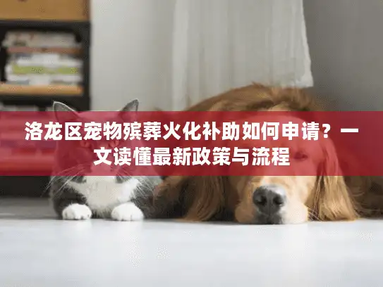 洛龙区宠物殡葬火化补助如何申请？一文读懂最新政策与流程
