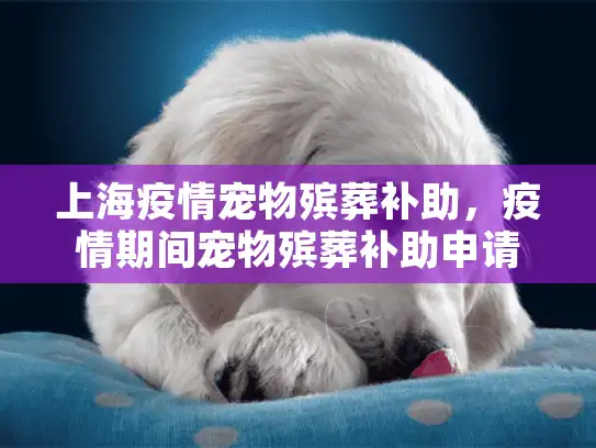 上海疫情宠物殡葬补助，疫情期间宠物殡葬补助申请指南