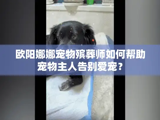 欧阳娜娜宠物殡葬师如何帮助宠物主人告别爱宠？