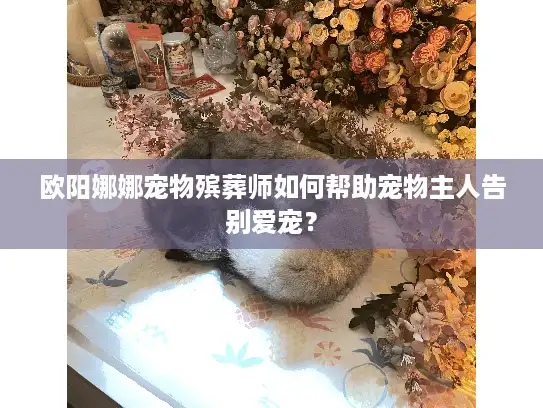 欧阳娜娜宠物殡葬师如何帮助宠物主人告别爱宠？