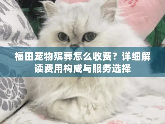 福田宠物殡葬怎么收费？详细解读费用构成与服务选择